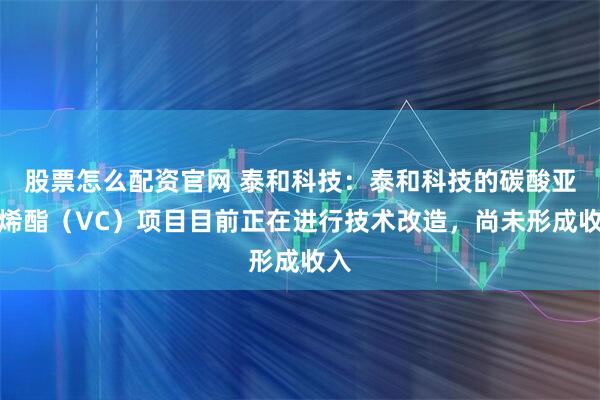 股票怎么配资官网 泰和科技：泰和科技的碳酸亚乙烯酯（VC）项目目前正在进行技术改造，尚未形成收入