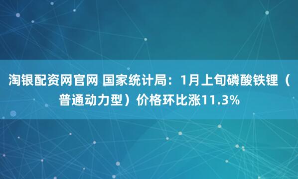 淘银配资网官网 国家统计局：1月上旬磷酸铁锂（普通动力型）价格环比涨11.3%